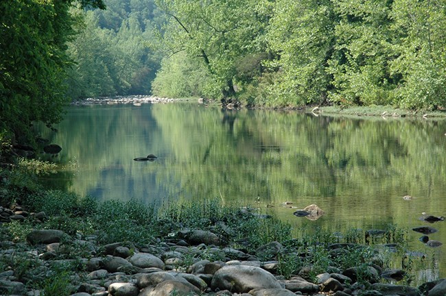 View down the Buffalo River from a gravel bar