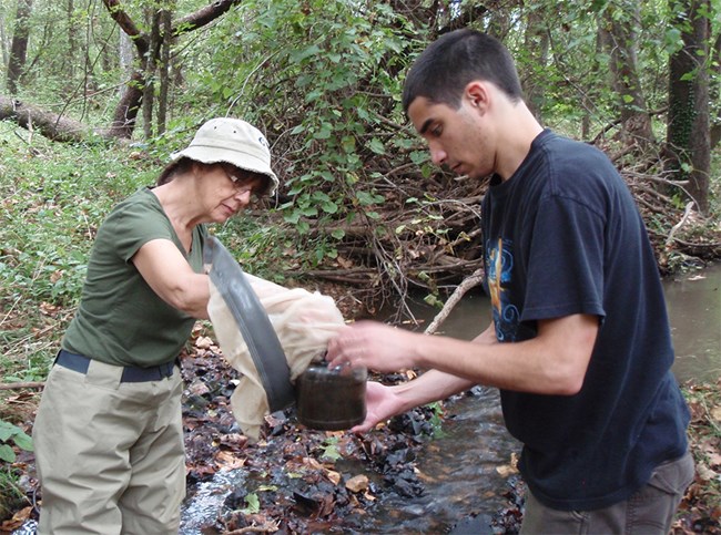 Volunteers conducting sampling in a stream