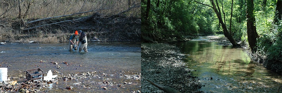 Left Image: Two employees collecting invertebrate samples in a stream.
Right Image: Monitoring area of a creek.