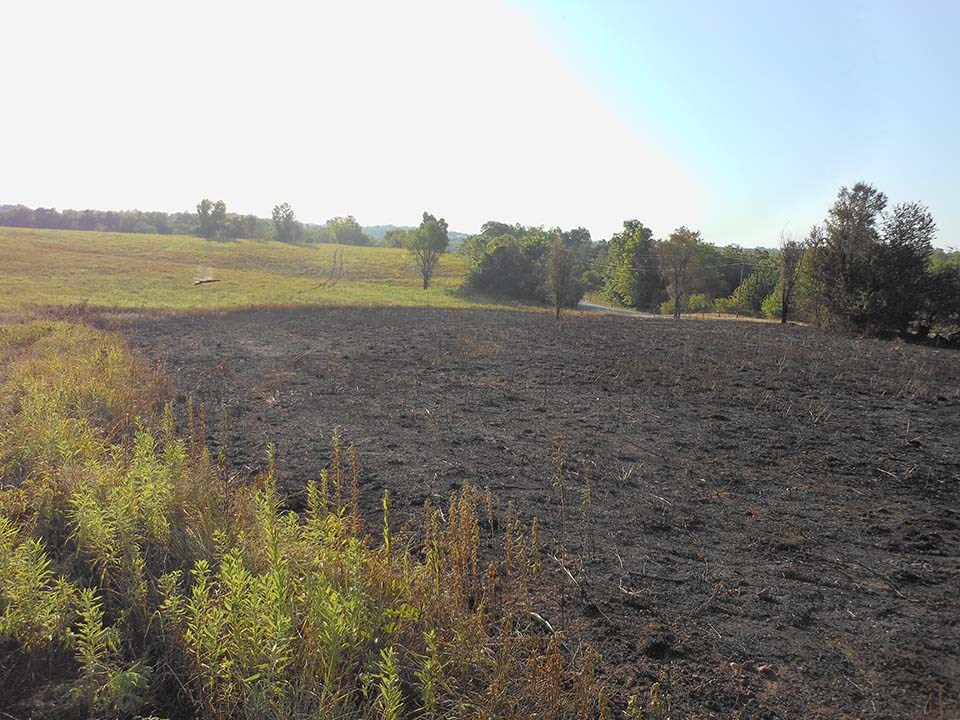 Field at Wilson's Creek National Battlefield after prescribed fire.