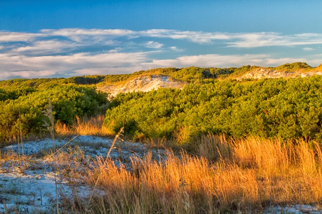 dunes