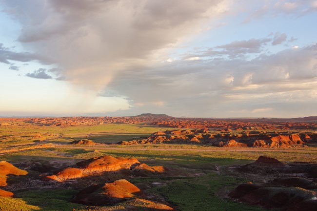 painted desert