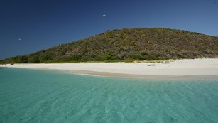 Buck Island shore Buck Island shore