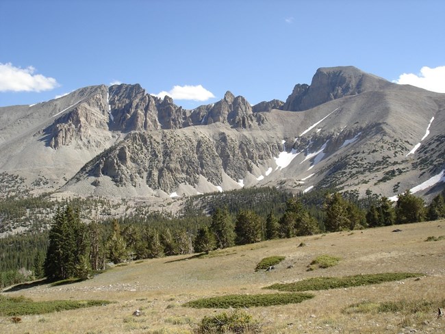 wheeler peak