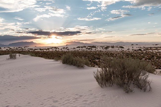 white sands