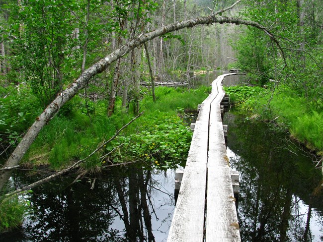 Chilkoot Trail