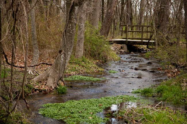 Carver trail