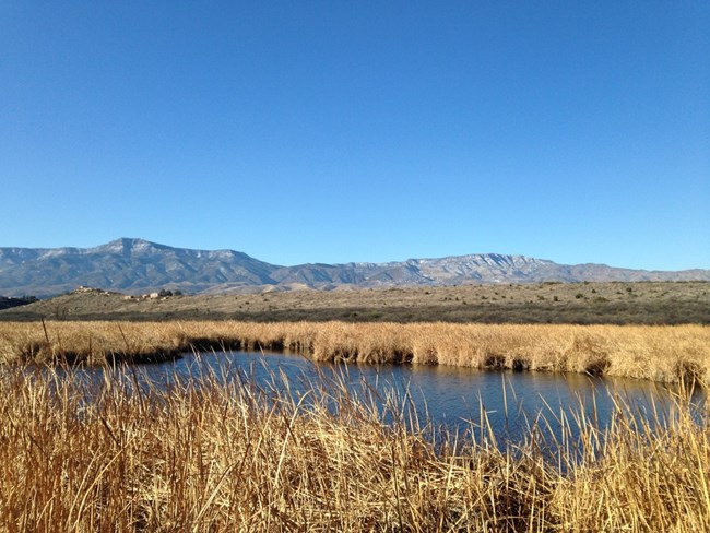 tavasci marsh