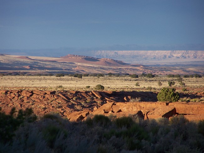 mesa mesa