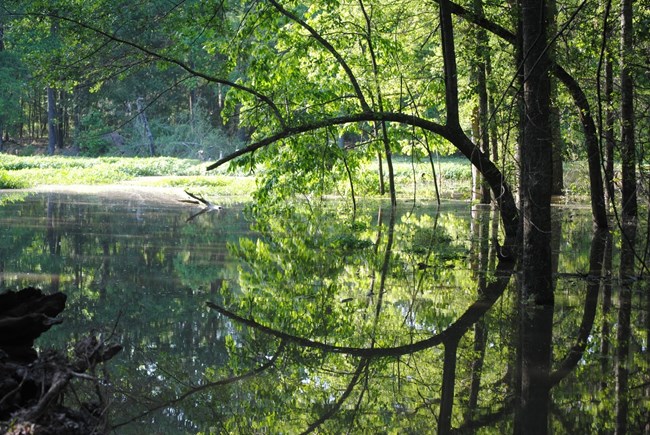 Park Lake Park Lake