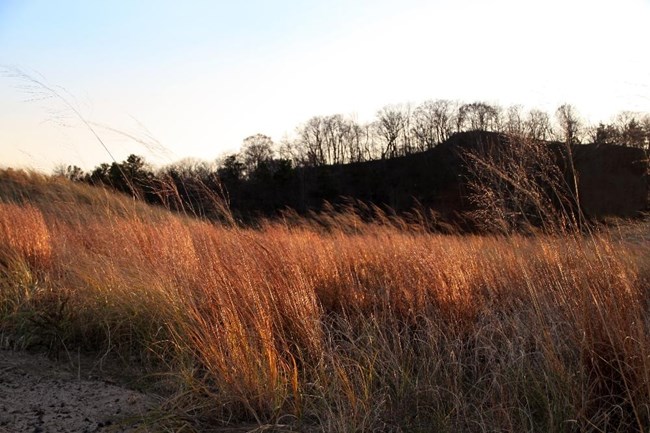 dunes dunes