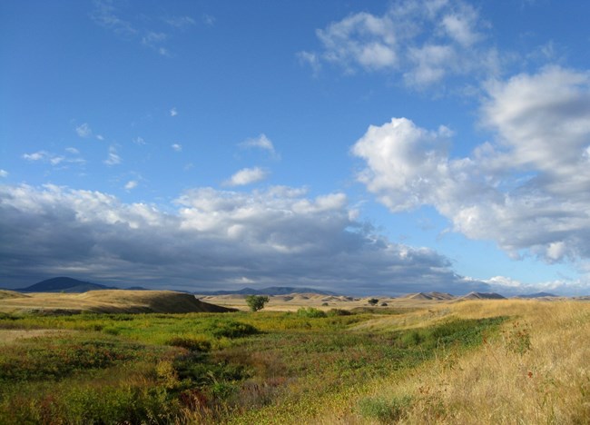 Snake Creek Snake Creek