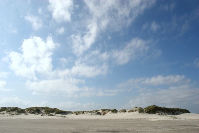 sand dunes