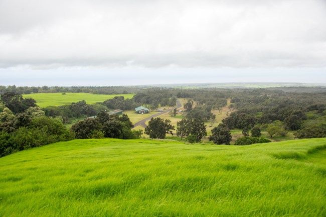 kahuku