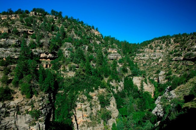 walnut canyon walnut canyon