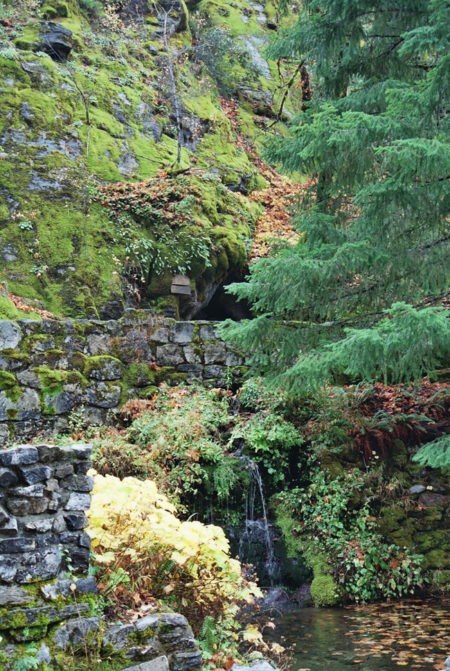 cave entrance cave entrance