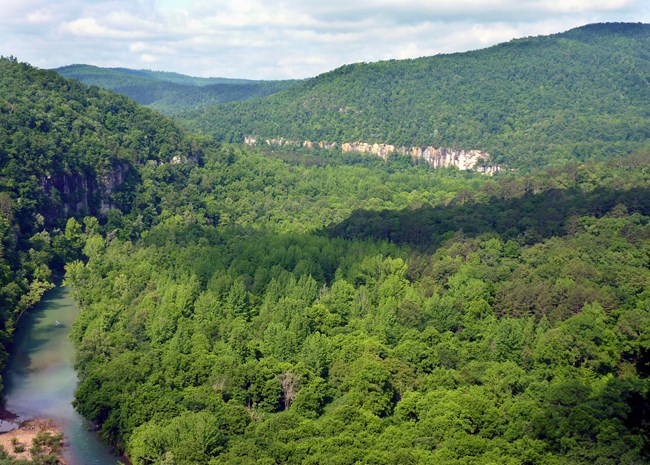 Buffalo river buffalo river