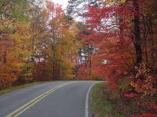 scenic drive scenic drive