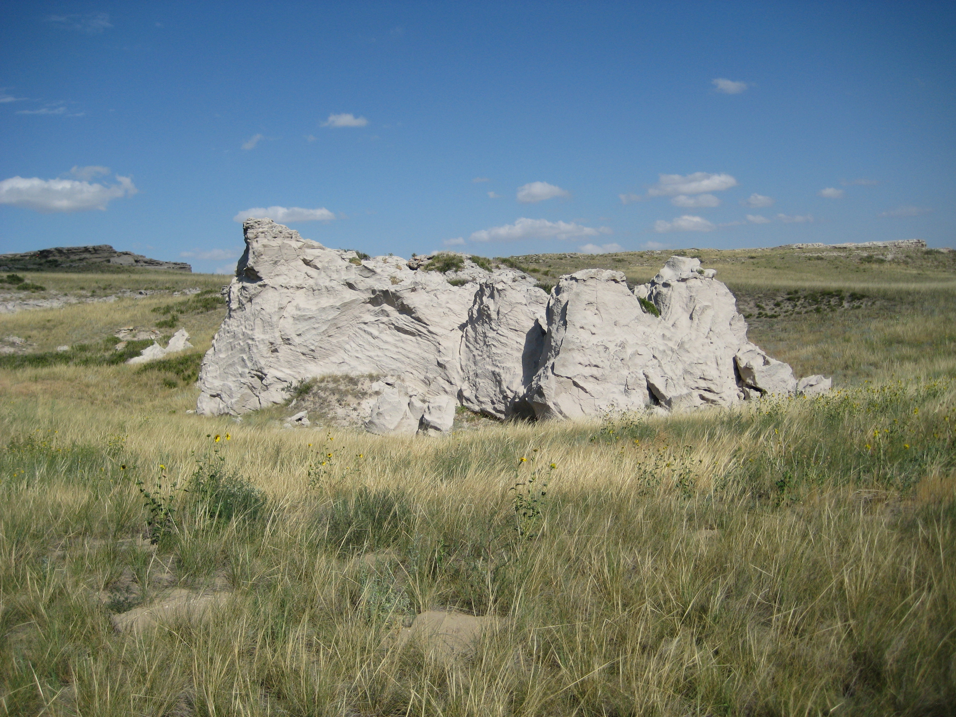 Vegetation Inventory and Map for Agate Fossil Beds National Monument (.  National Park Service)