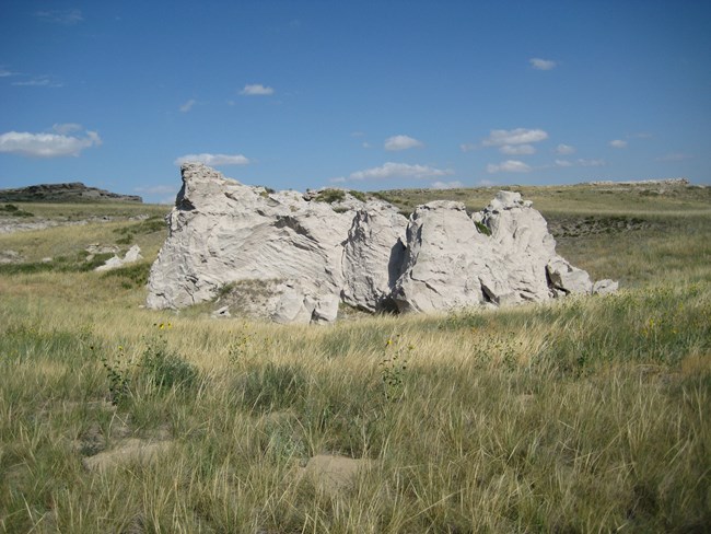 Agate Fossil Beds