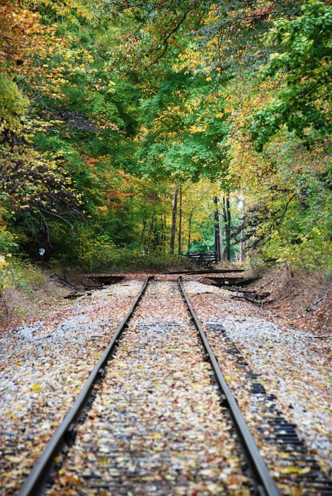 railroad tracks railroad tracks