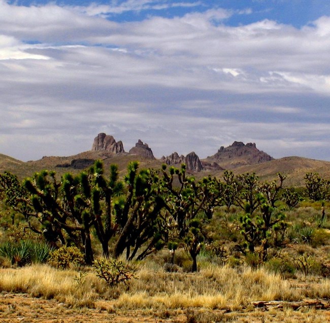 castle peaks