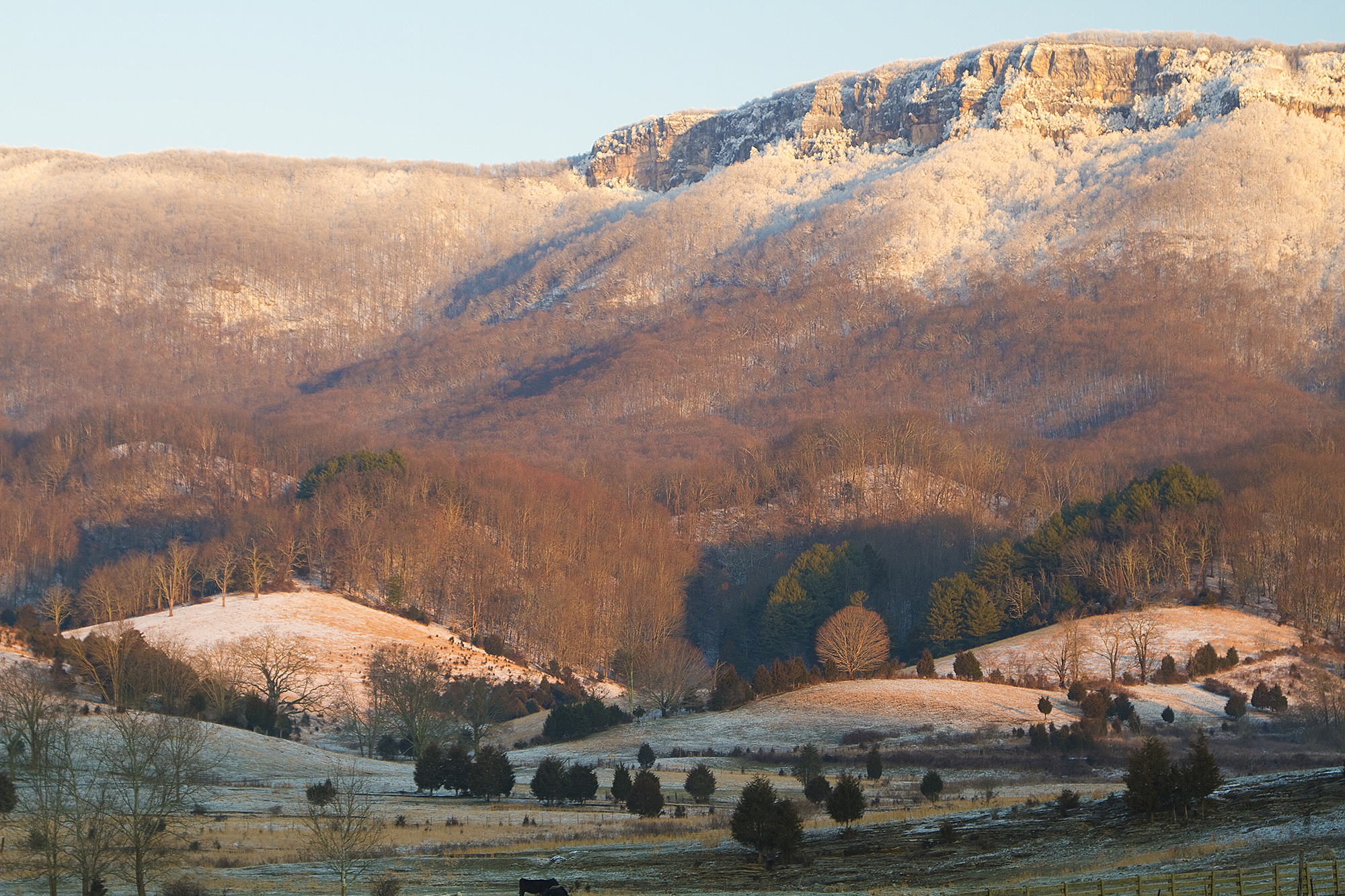 White Cliffs tower over a valley floor in snow.