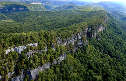 Tree-covered band of white cliffs.