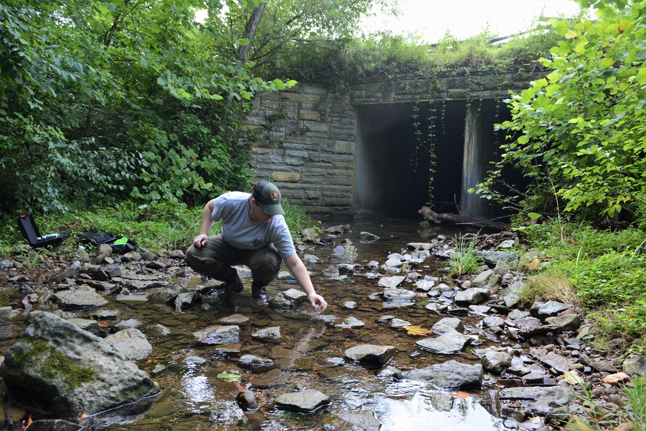 A person in an NPS uniform crouches to fill a vial with water from a shallow stream.