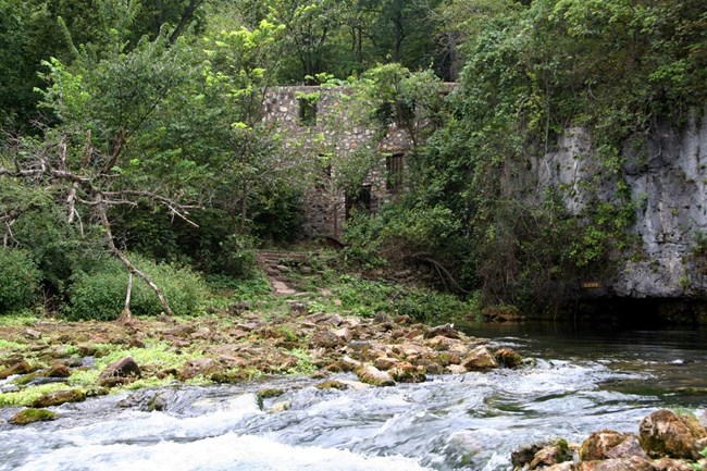 Welch spring