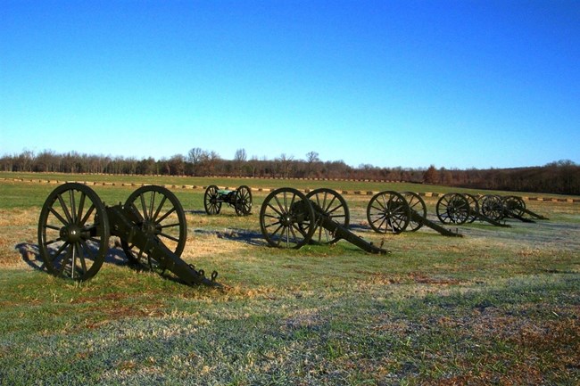 cannons