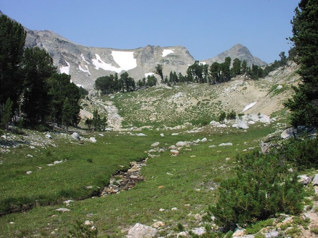 paintbrush canyon