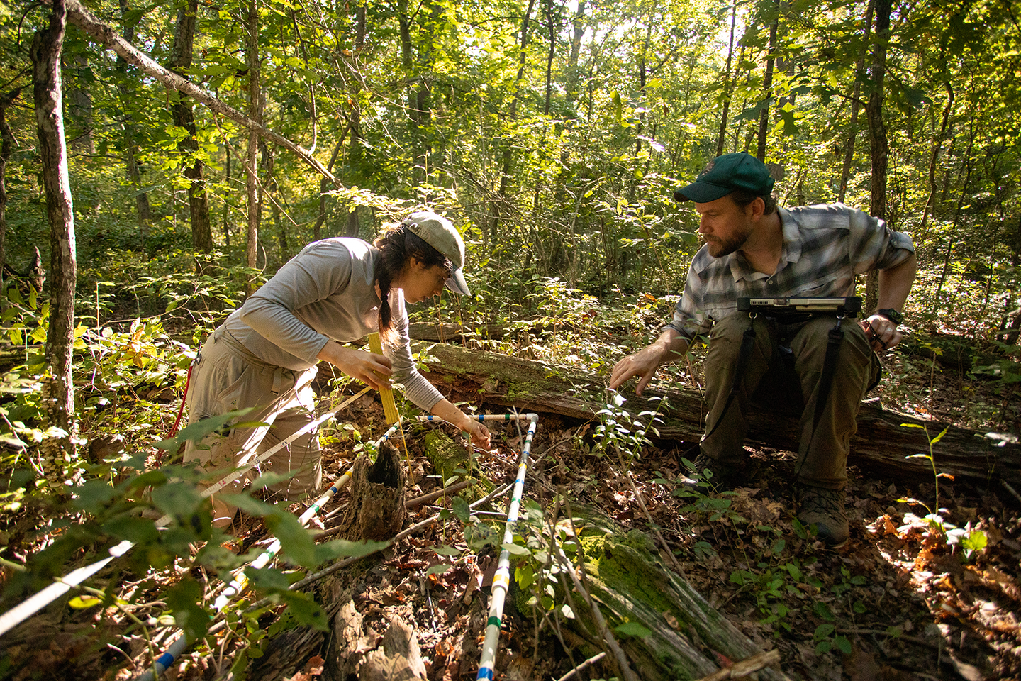 Two biologists kneel next to a quad (a rectangular PVC frame) and examine the plants growing within its boundaries. Two biologists kneel next to a quad (a rectangular PVC frame) and examine the plants growing within its boundaries.