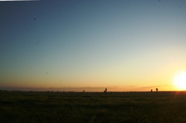 sunrise sunrise