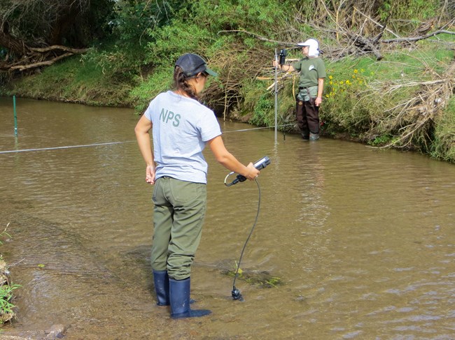 Two people standing in a stream, each working with different measuring devices.