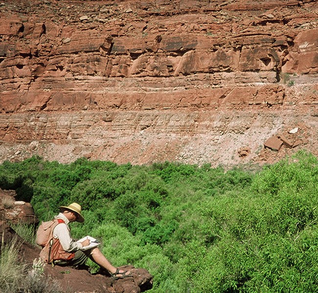 Technician sitting on a rocky outcrop, writing notes about the vegetation beneath him