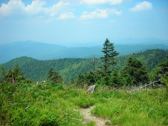 Appalachian Trail in Tennessee