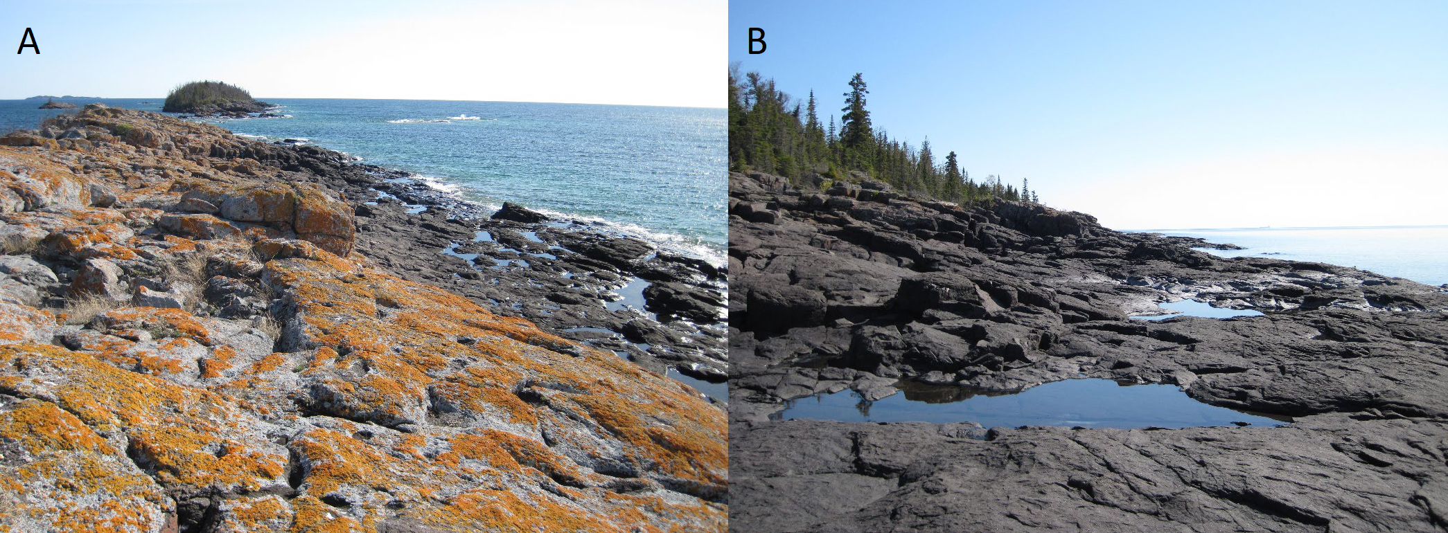 Two images of a rocky shoreline. In one, the rocks are covered with orange lichen.