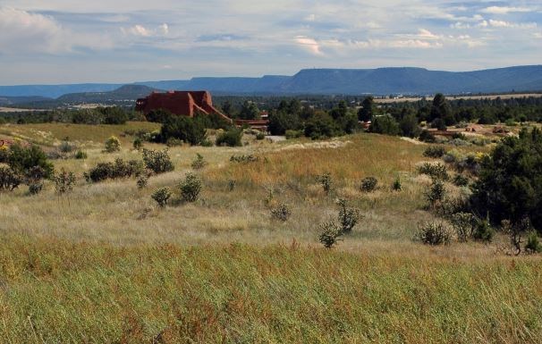 peco vista