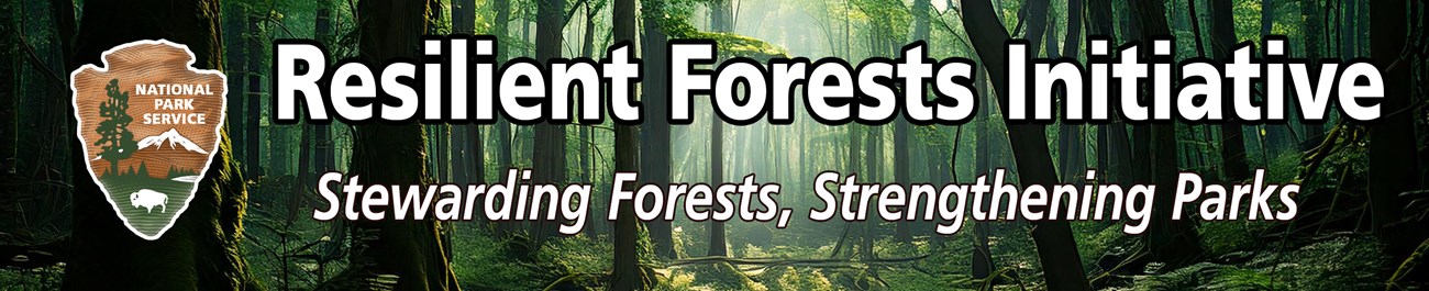 RFI - Stewarding Forests, Strengthening Parks Banner image with NPS arrowhead and text, Resilient Forests Initiative: Stewarding Forests, Strengthening Parks