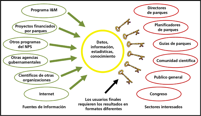Un diagrama conceptual mostrando cómo diferentes fuentes de información pueden ser convertidas en datos, estadísticas y conocimiento, que a su vez pueden ser resumidos y usados por los sectores interesados.