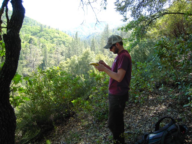 Field technician using a GPS unit at Whiskeytown NRA