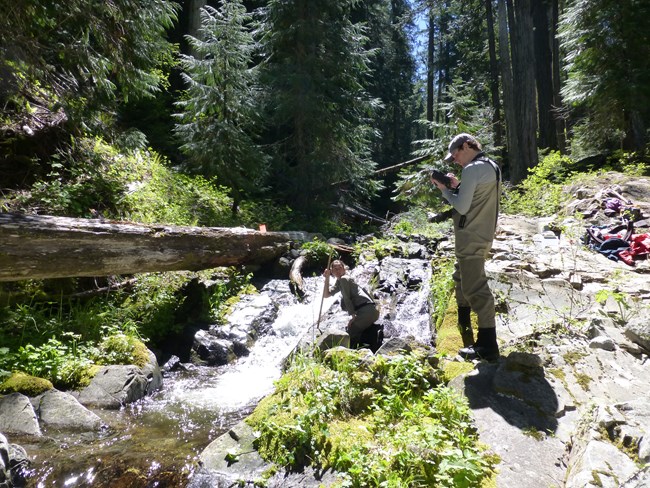 Field technicians next to a small stream at Oregon Caves NMP