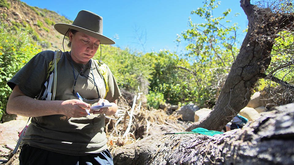 A biologist standing next to a fallen tree with a pen and notepad in hand.