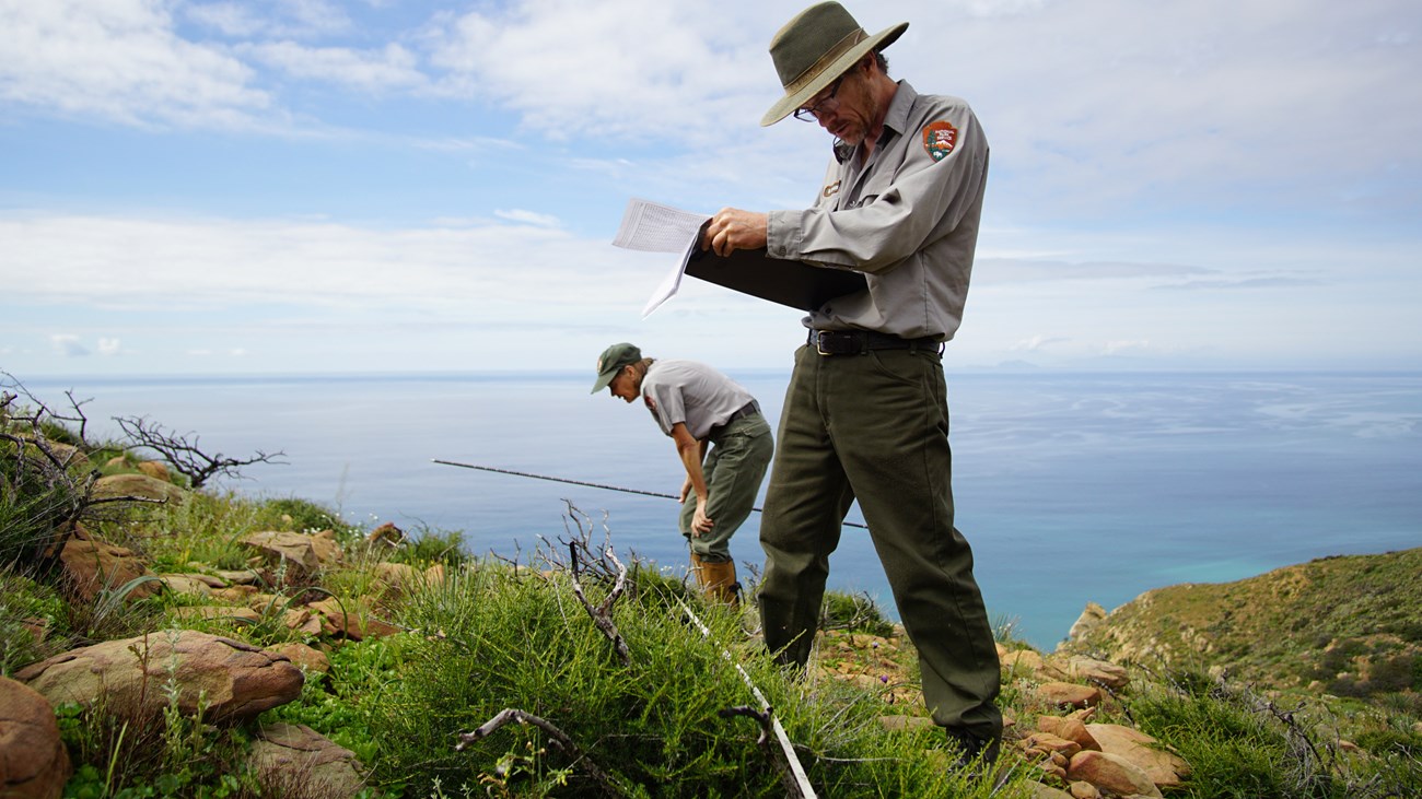 Two biologists standing on a mountain far above the ocean, one looking at species along a transect, and the other filling out a data sheet