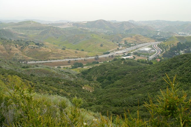 View from a mountainside of a large highway running through Liberty Canyon below