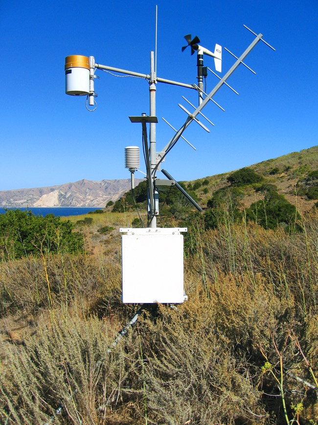 Weather station rising above shrubs, overlooking the coast of Santa Cruz Island