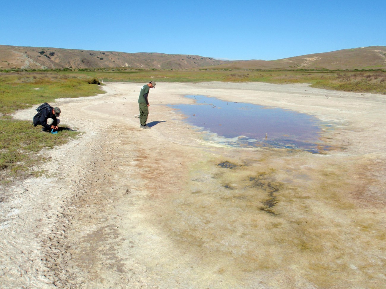 One biologist standing over a pool of water that is the remainder of Oat Point Lagoon during a dry spell, while another kneels over some equipment nearby.