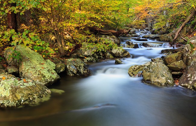 Long exposure of a river flowing through a colorful forest in the fall