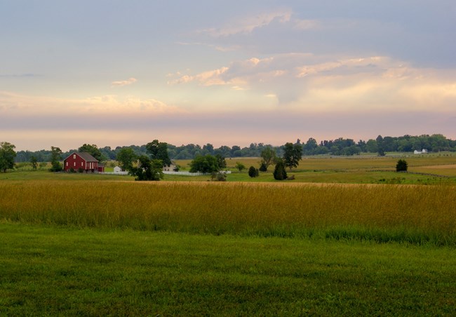 A scenic view of the battlefield, looking north from the Mississippi Memorial.